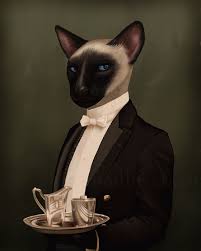 Cat butler