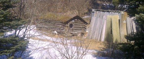 Homesteaders cabin